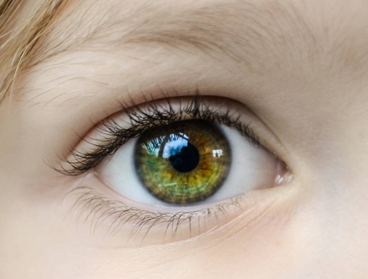 oftalmologija-dom-zdravlja-pgz